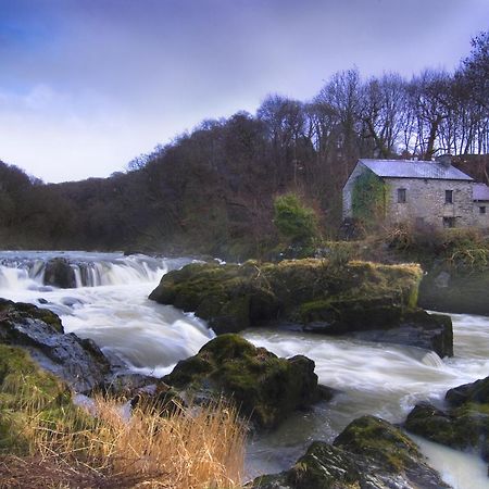 Garden Cottage Newcastle Emlyn Luaran gambar